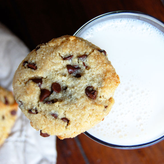 Paleo Diet Chocolate Chip Cookies Recipe