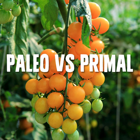 Paleo vs Primal- which way of eating is best?