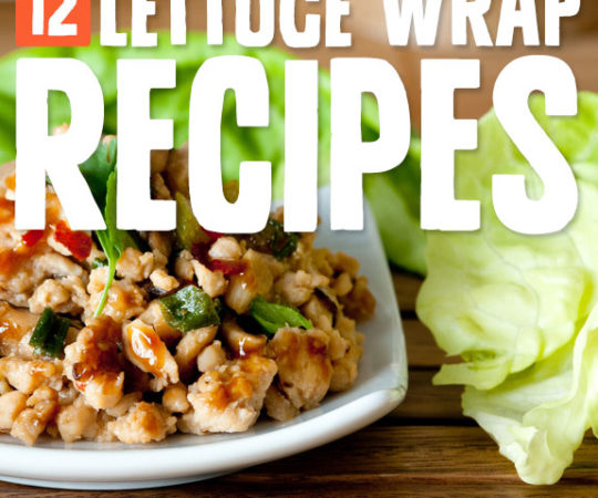 Some addictive lettuce wrap recipes. I eat these every chance I get! Great for a quick, low carb meal.