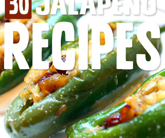 I love cranking up the heat with these jalapeno recipes. They’ve shown me so many new ways to use jalapenos that I didn’t even think of before.