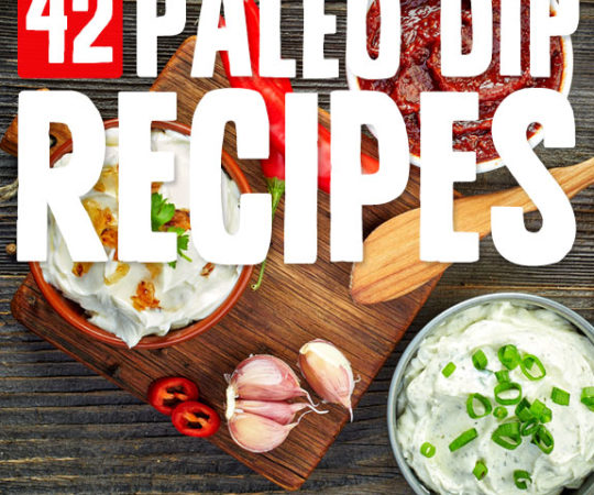 This paleo dips are so good! Next time you need to get your snack on, make one of these delicious paleo dips. Great with vegetables and homemade chips.
