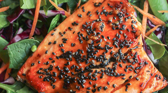 Salmon is that one food all health experts can agree on, and I never get sick of it with so many different ways to prepare it with these melt-in-your mouth salmon recipes.