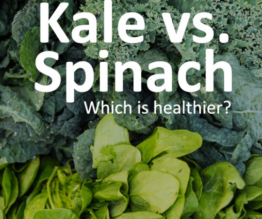 See the differences of kale vs. spinach and which leafy green is more nutrient dense.