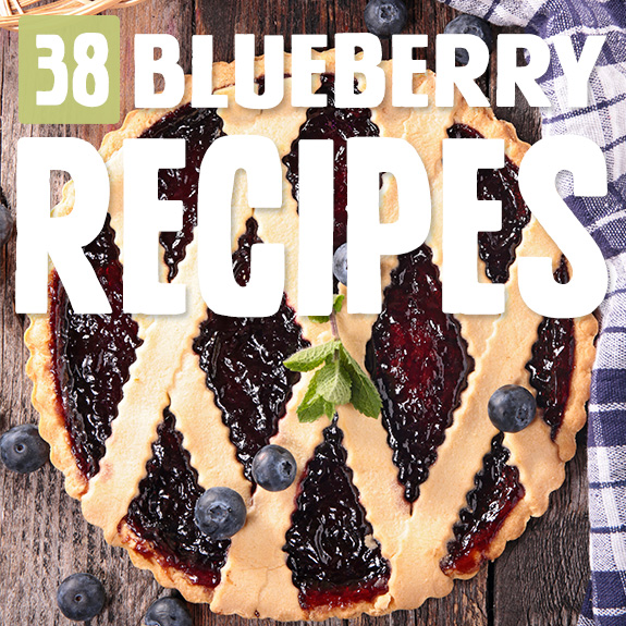 Those tasty little blueberries feature big time in these blueberry recipes. You had me at blueberry.