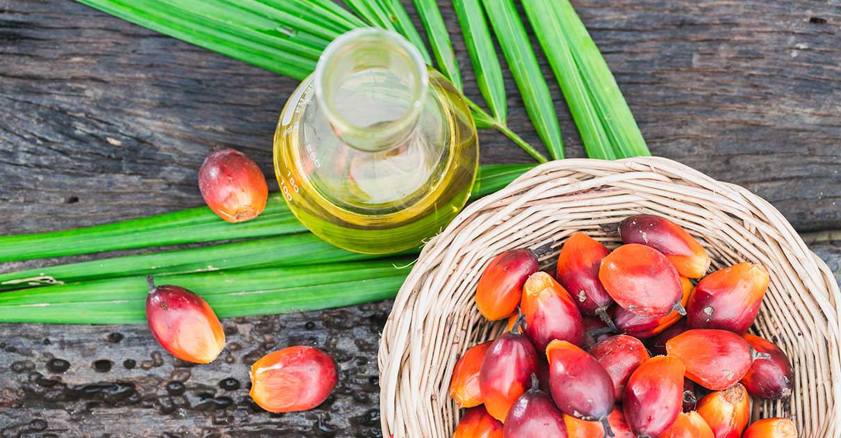 Is Palm Oil Paleo?