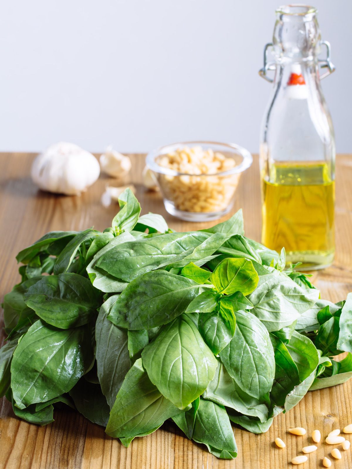 Fresh Basil Besto Ingredients